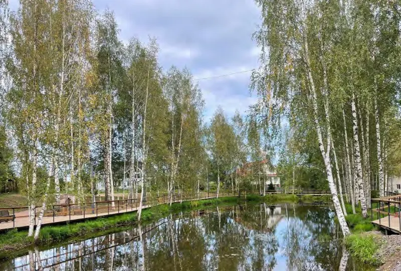 осенний пруд с отражением берёз